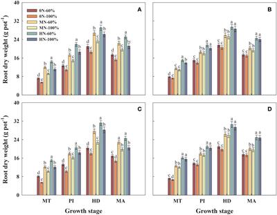 Enhancing root physiology for increased yield in water-saving and drought-resistance rice with optimal irrigation and nitrogen